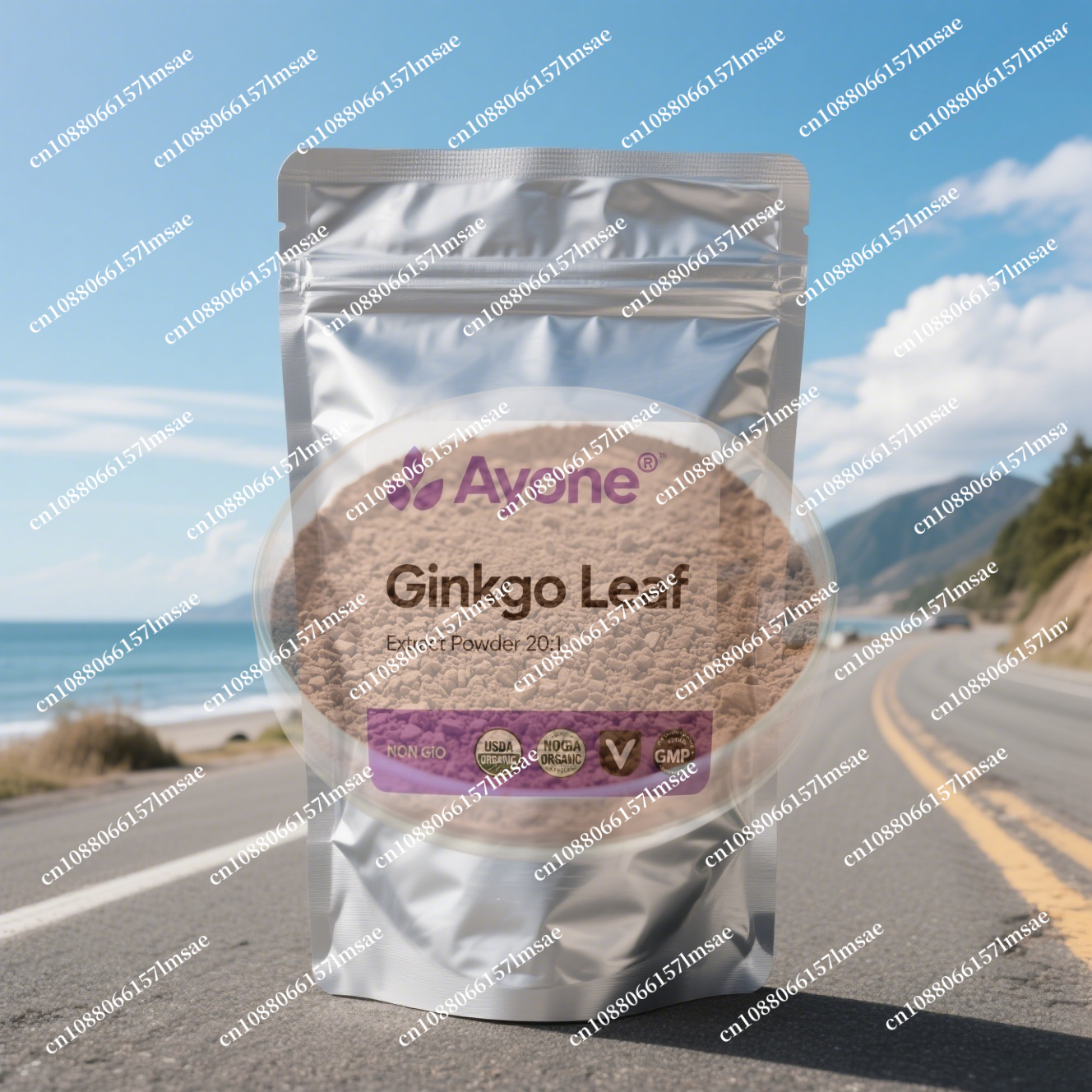 Ginkgo Biloba Extract - Factory professional packaging and sealing Gingkgo