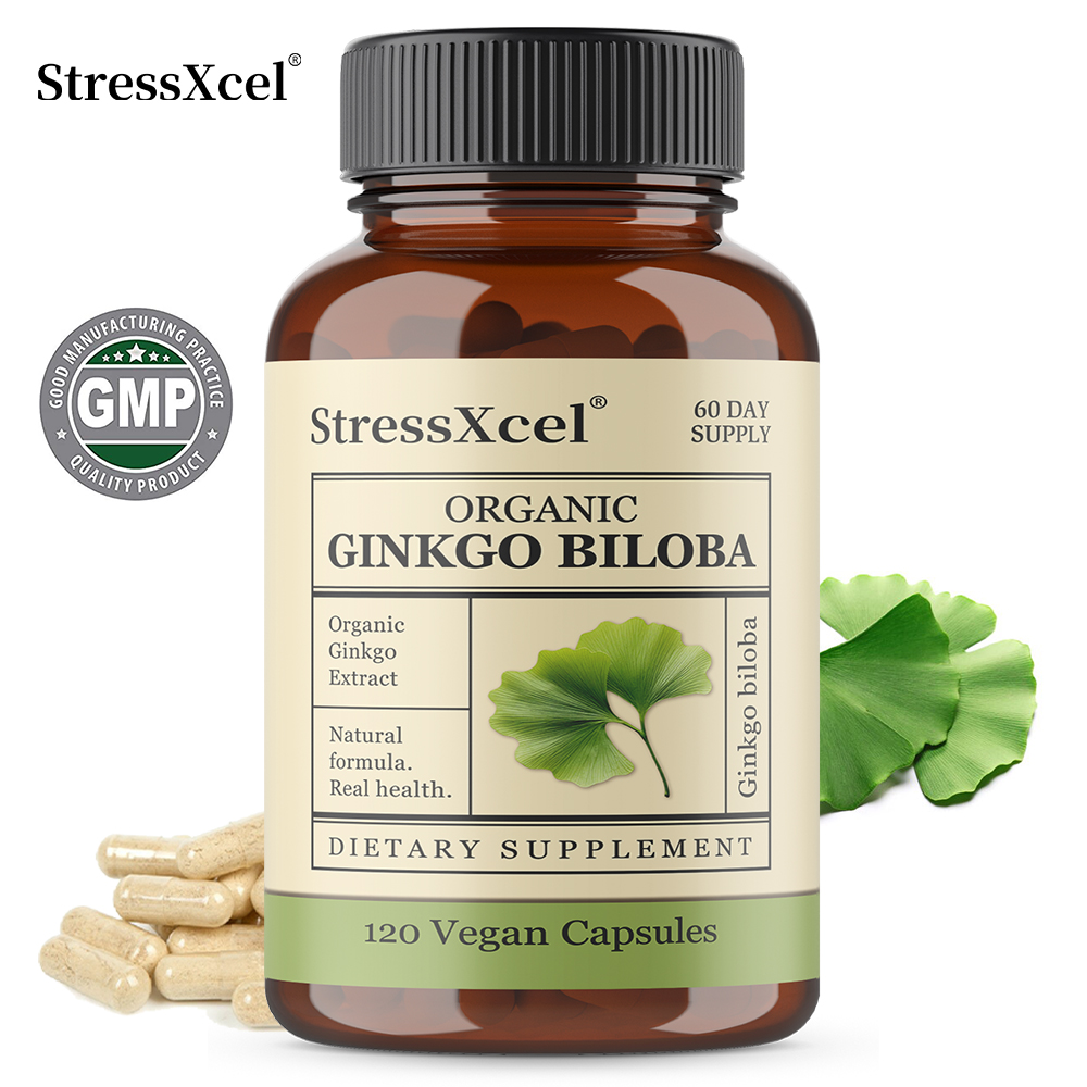 Ginkgo Biloba Extract - Ginkgo Biloba Capsules - Supports Brain