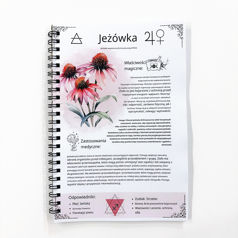 The Lost Book of Herbal Remedi - Natural Herbal Wellness reseña y precio