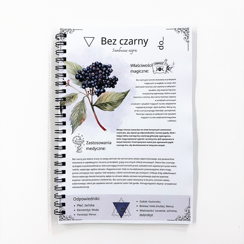 The Lost Book of Herbal Remedi - Natural Herbal Wellness reseña y precio
