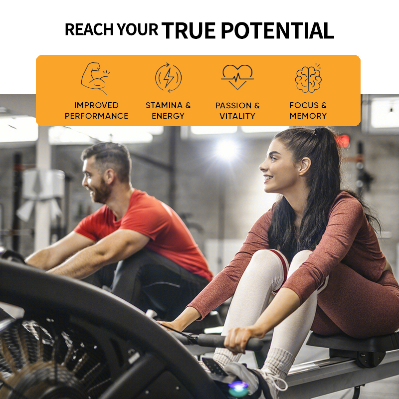 Ginseng + Ginkgo Biloba Extrac - Ginkgo Biloba Extract reseña y precio