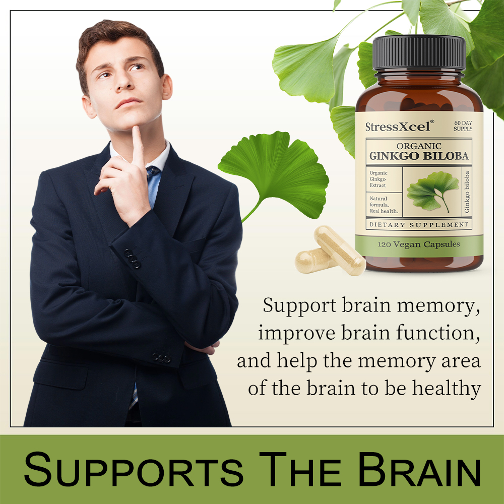 Ginkgo Biloba Capsules - Suppo - Ginkgo Biloba Extract reseña y precio