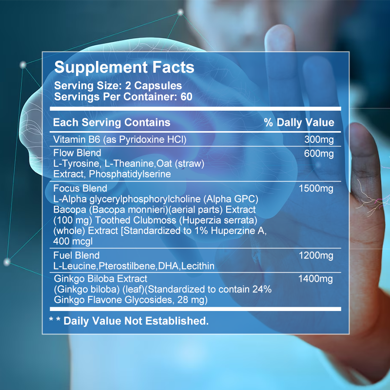 Brain Capsules with Ginkgo Bil - Ginkgo Biloba Extract reseña y precio